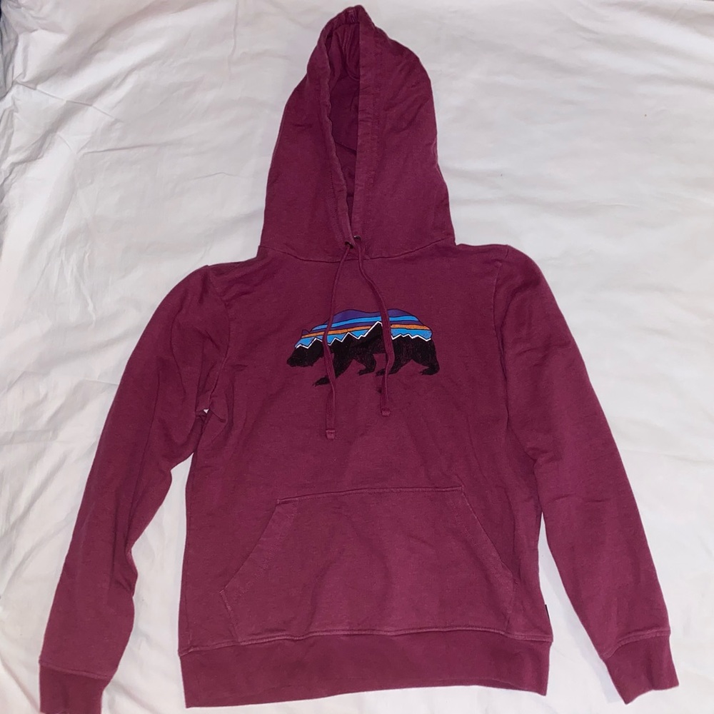 Patagonia Women’s Fitz Roy Bear Hoody